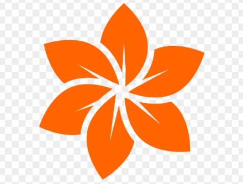 9T5 PTY LTD logo